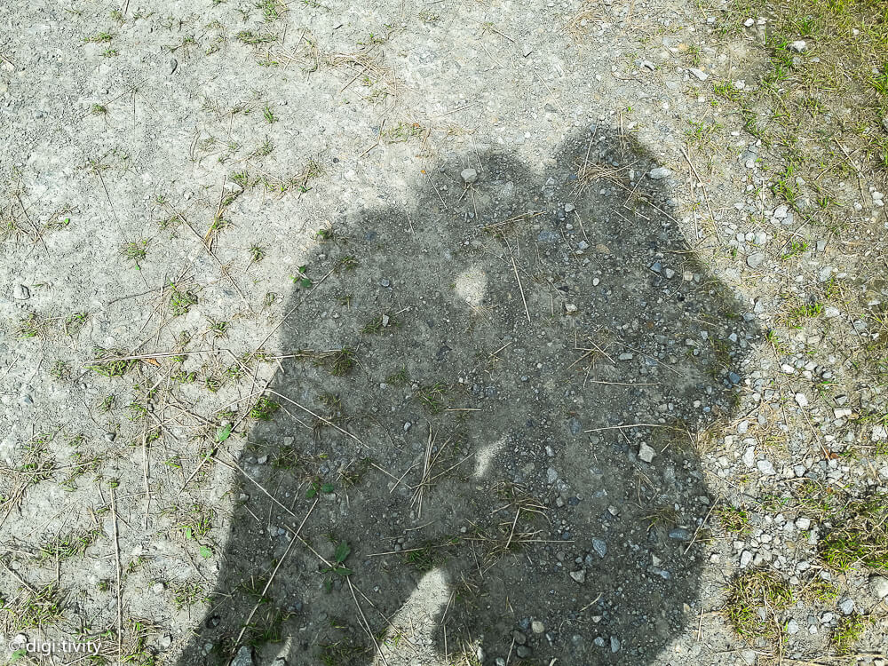 tag6