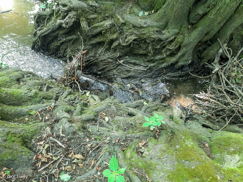 tag6