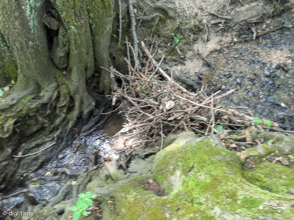 tag6