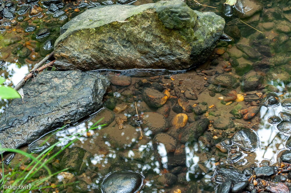 tag6