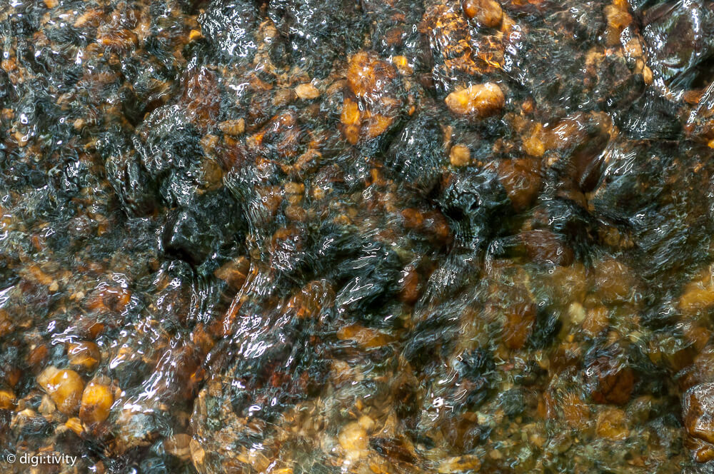 tag6