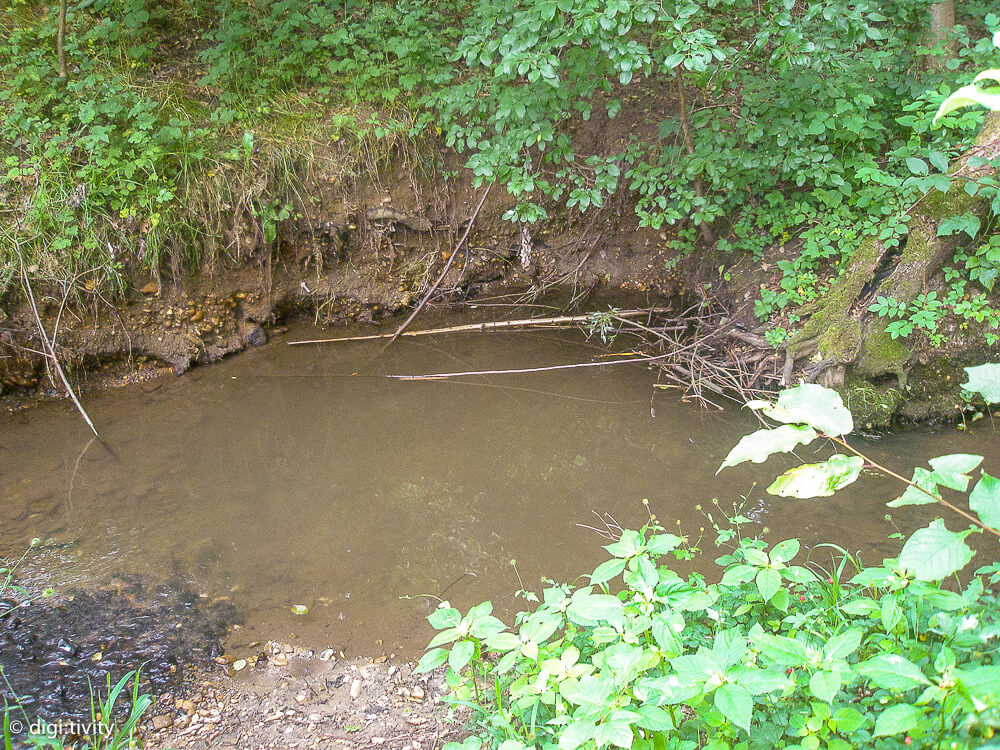 tag6