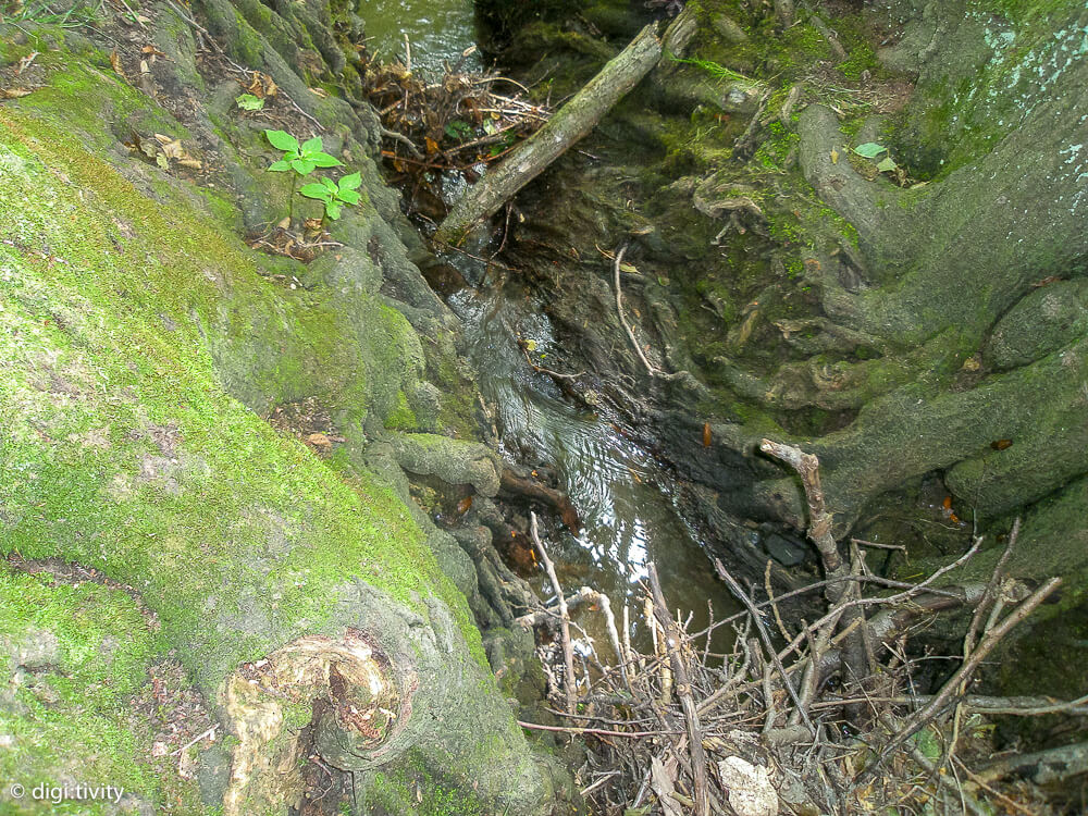 tag6