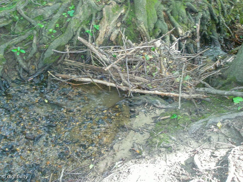 tag6